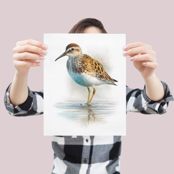 Watercolor Sandpiper Bird Portrait Wall Art Print, Unframed - Coastal Serenity - Picture 4 of 7